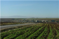 Drtyol Resimleri