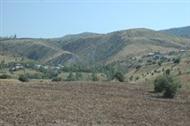 Abdurrahman Resimleri