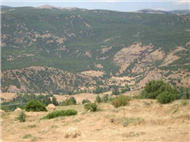obanta Resimleri