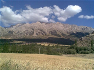 Abekirli Resimleri