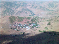 Tarhan Resimleri
