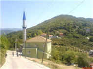Kanatl Resimleri