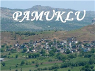 Pamuklu Resimleri