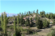 Dlekli Resimleri