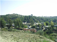 Emelcik Resimleri