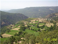 Dalltepe Resimleri