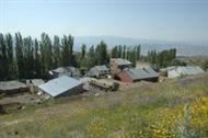 zengi Resimleri