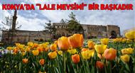 Konya'da Lale Mevsimi