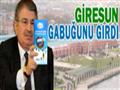 Giresun Gabuunu Grd slogan ok anlaml